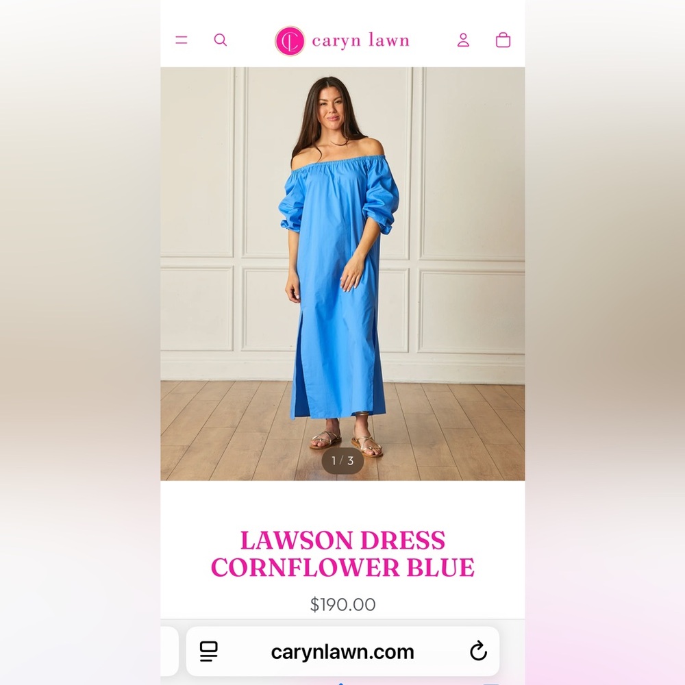 Caryn Lawn Lawson Dress in Blue one size fits all worn once retails $190